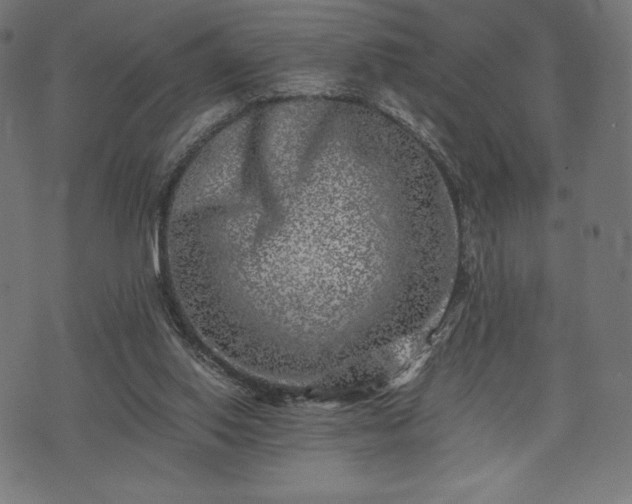 X0000073860062200608170953