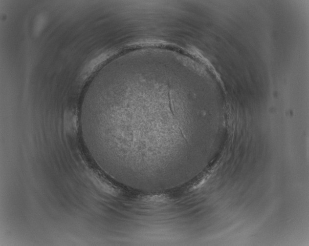 X0000073860063200608170953