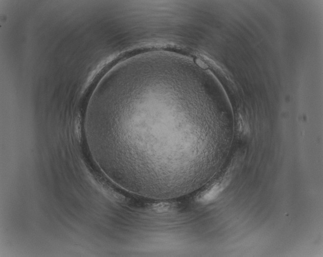 X0000073860064200608170953