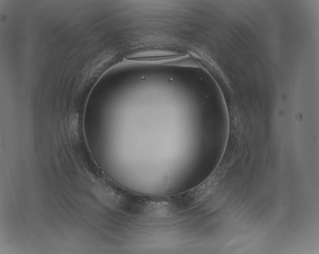 X0000073860066200608170953