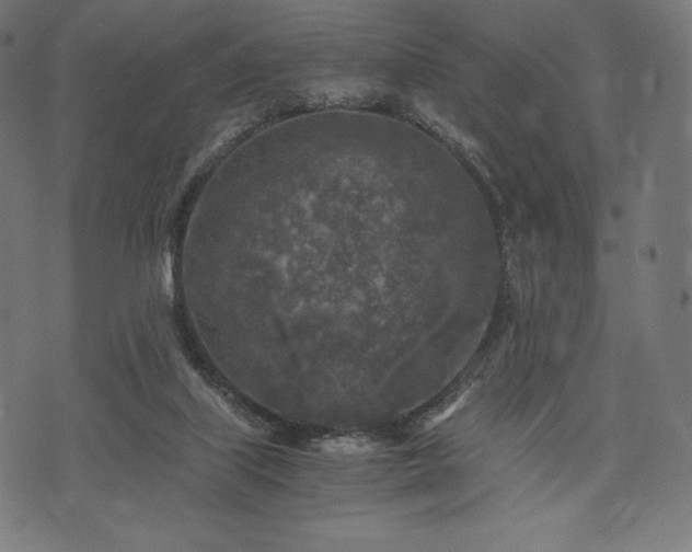 X0000073860067200608170953