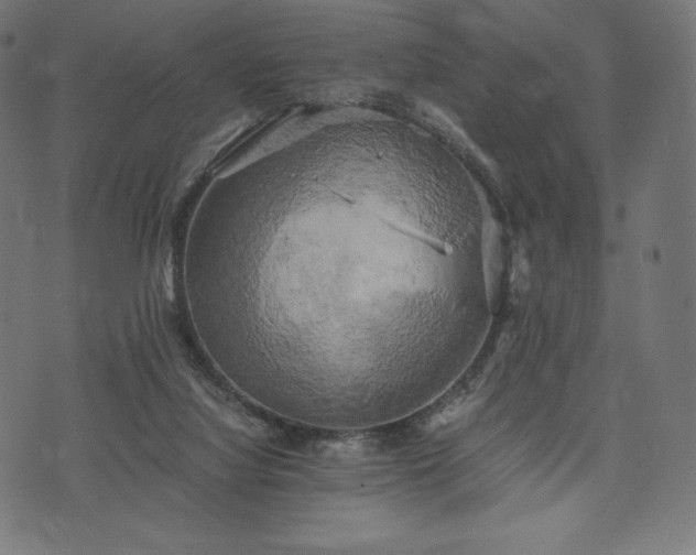 X0000073860068200608170953