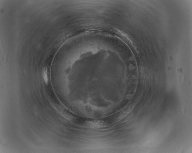 X0000073860069200608170953