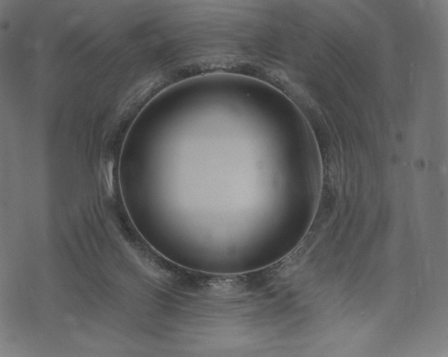 X0000073860070200608170953