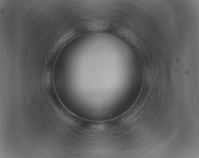 X0000073860071200608170953