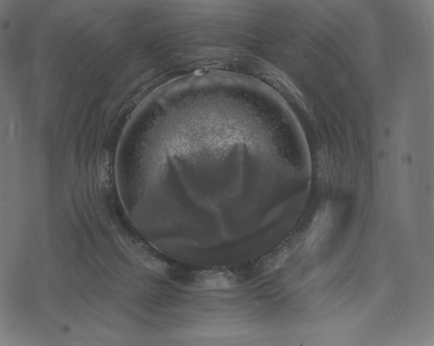 X0000073860073200608170953