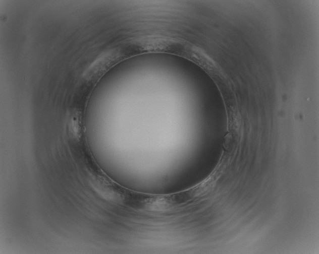 X0000073860074200608170953