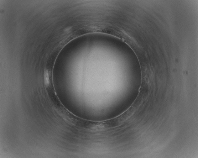 X0000073860075200608170953