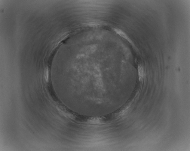 X0000073860076200608170953