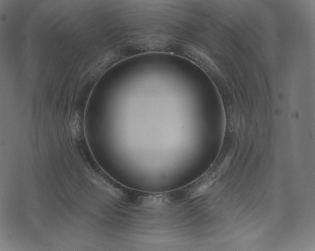 X0000073860077200608170953