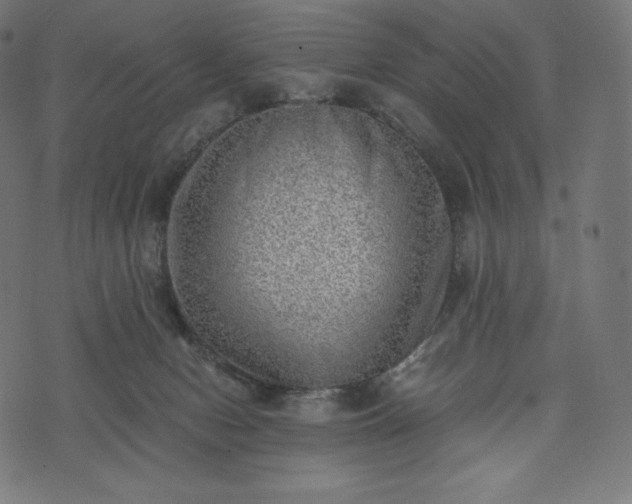 X0000073860078200608170953