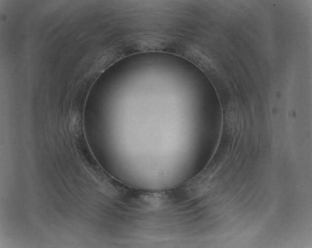 X0000073860079200608170953