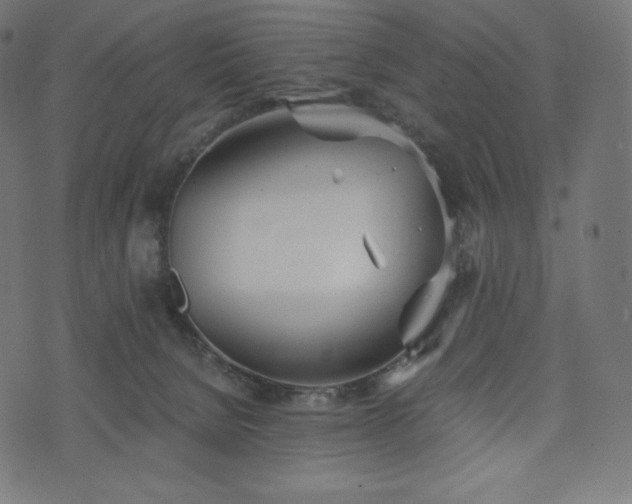 X0000073860080200608170953