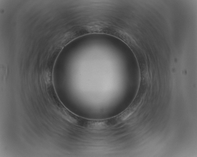 X0000073860081200608170953