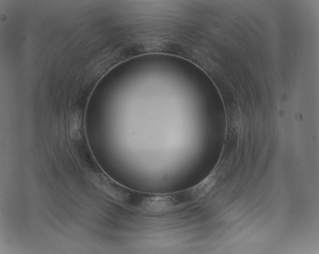 X0000073860082200608170953