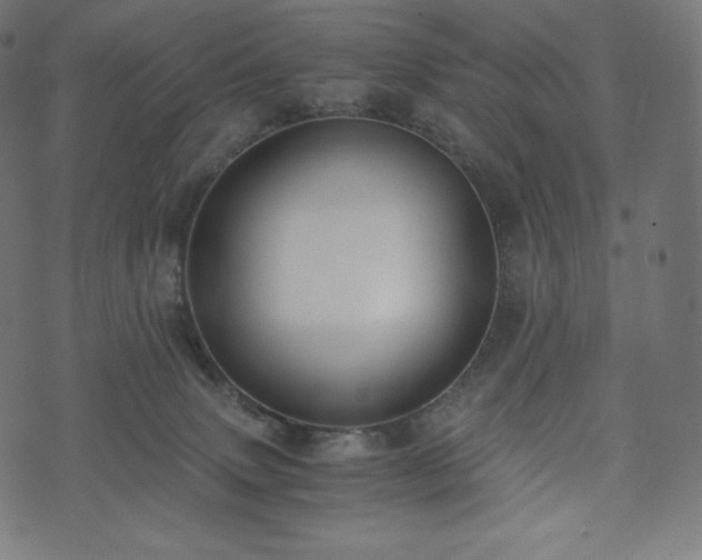 X0000073860083200608170953