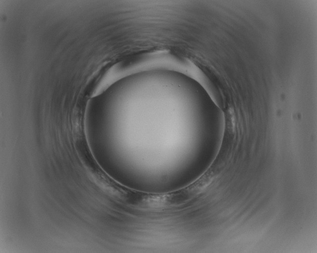 X0000073860084200608170953