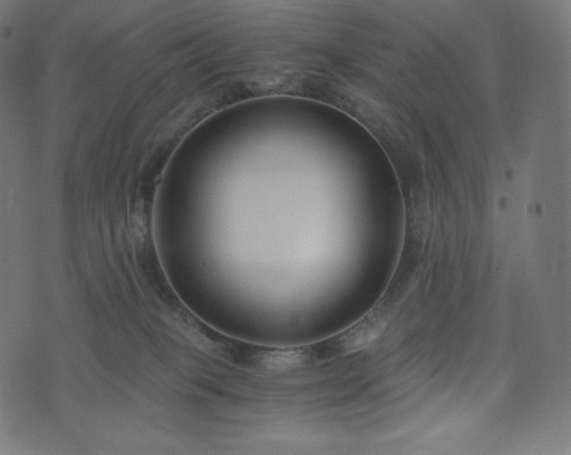 X0000073860085200608170953