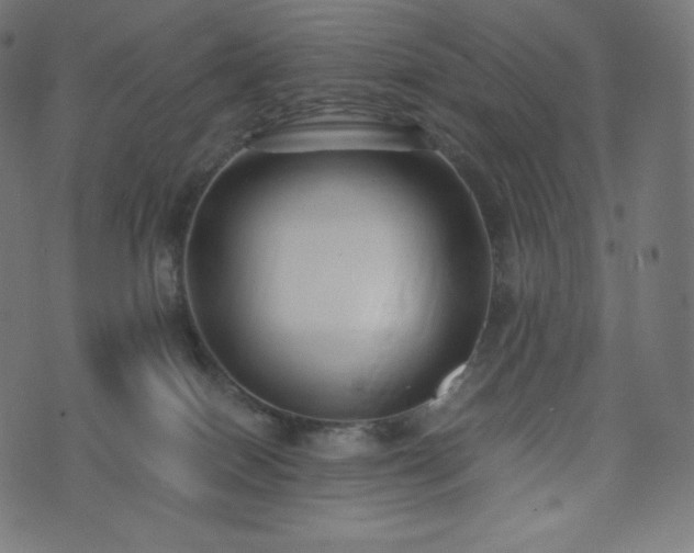 X0000073860086200608170953