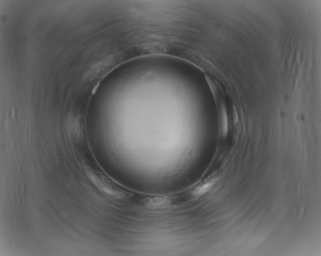 X0000073860088200608170953