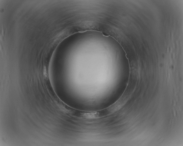 X0000073860089200608170953