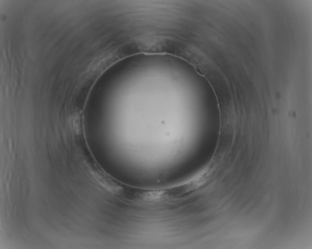 X0000073860090200608170953