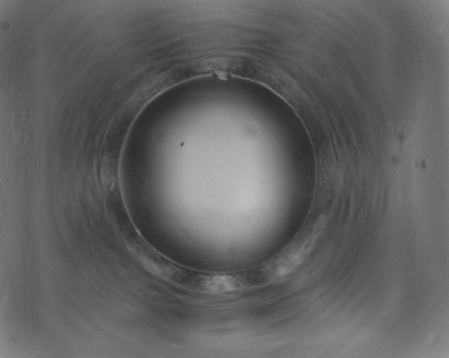 X0000073860091200608170953