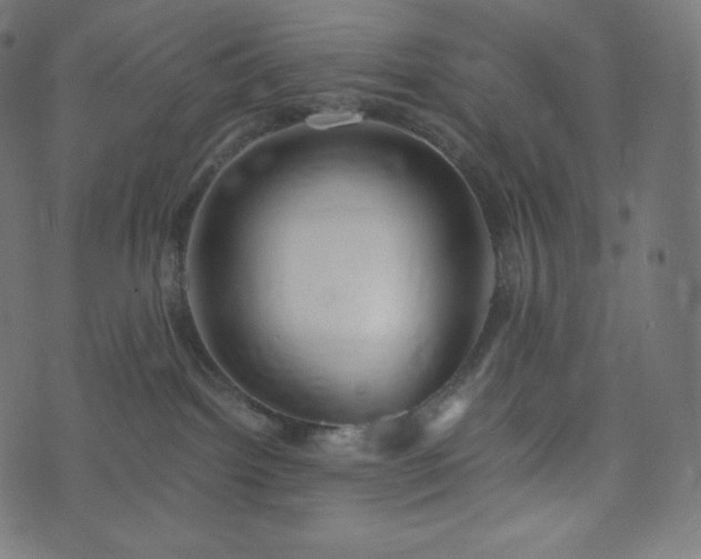 X0000073860092200608170953