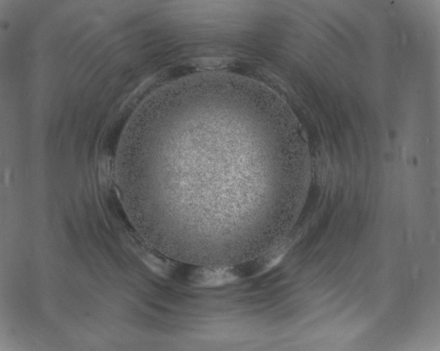 X0000073860093200608170953