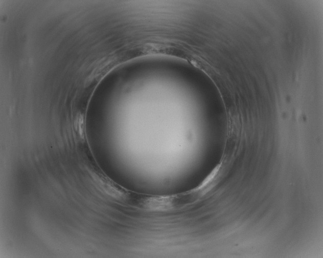 X0000073860094200608170953