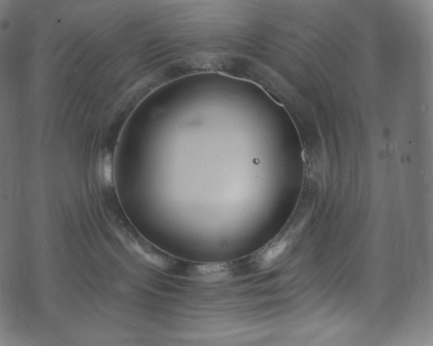 X0000073860095200608170953