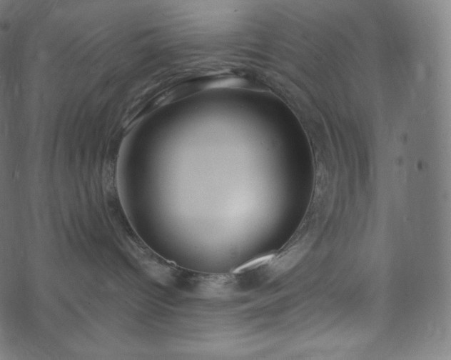 X0000073860096200608170953