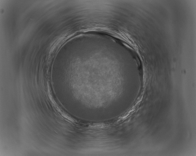 X0000073860097200608170952