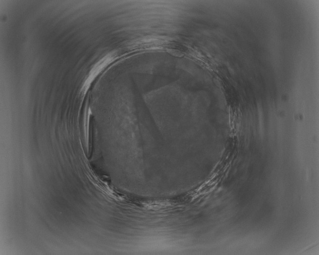 X0000073860099200608170952