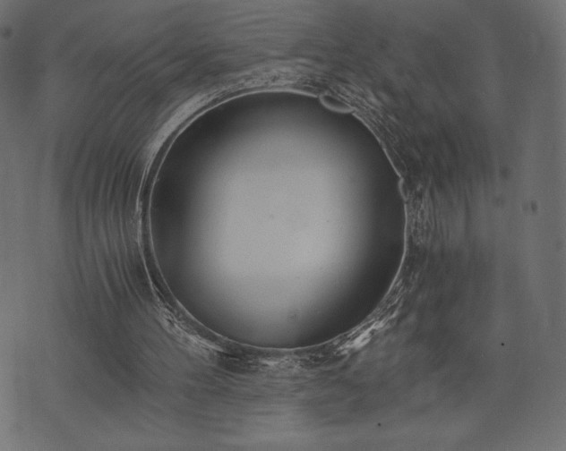 X0000073860100200608170952