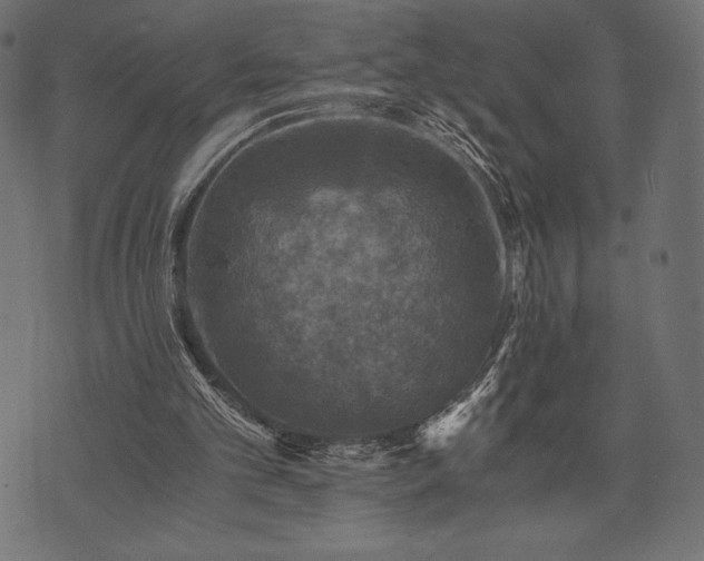 X0000073860101200608170952