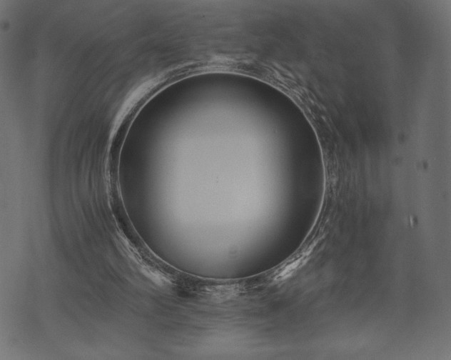 X0000073860102200608170952