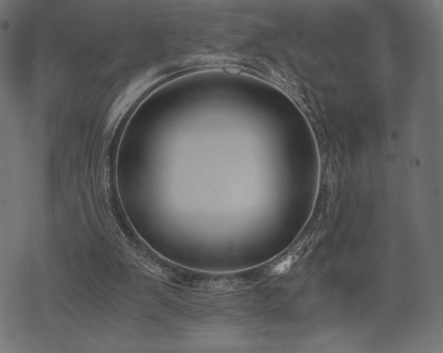 X0000073860103200608170952