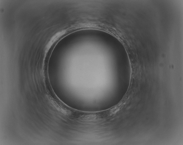 X0000073860104200608170952