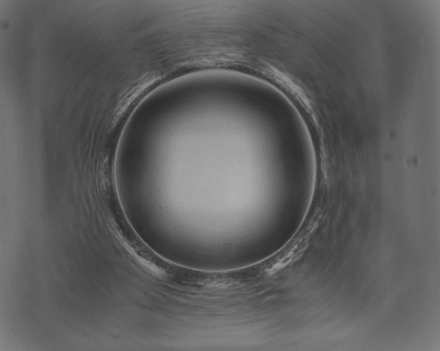 X0000073860105200608170952