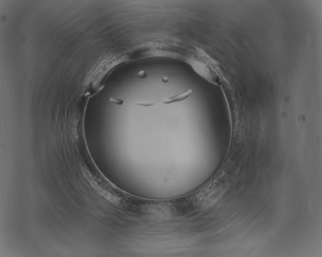 X0000073860106200608170952