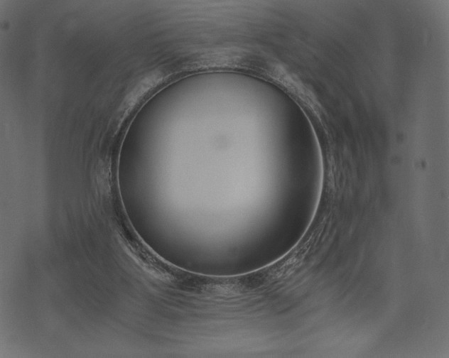 X0000073860107200608170952