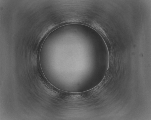 X0000073860108200608170952