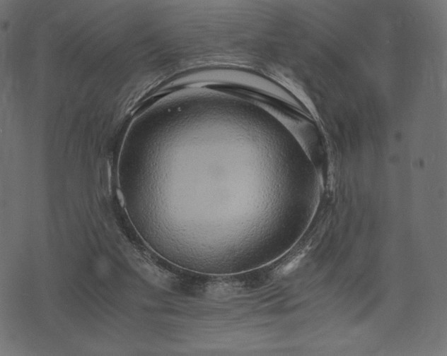 X0000073860109200608170952