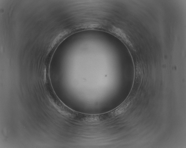 X0000073860110200608170952