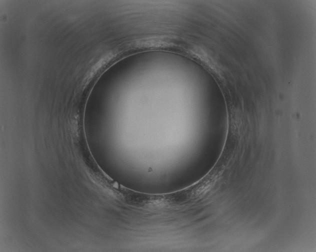 X0000073860111200608170952