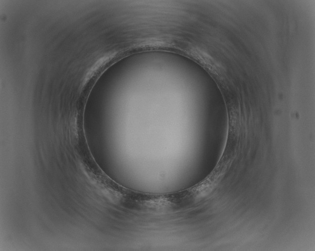 X0000073860112200608170952