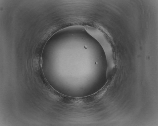 X0000073860113200608170952