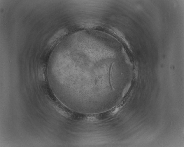 X0000073860114200608170952