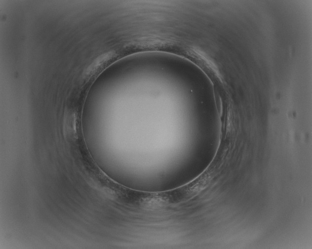 X0000073860115200608170952